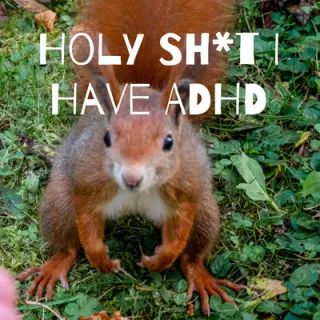 Dmitry Pushkarev - Episode 68 by Holy Sh*t I Have ADHD